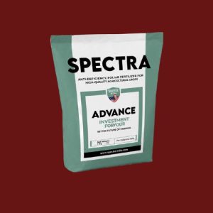 Investment Powder